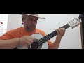 SOLOS DE VIOLA CAIPIRA - POUT POURRI DE PAGODES COVER