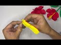 🌺Hibiscus Rosa-Sinensis | Beautiful Flower Plant Care &amp; Growing Tips