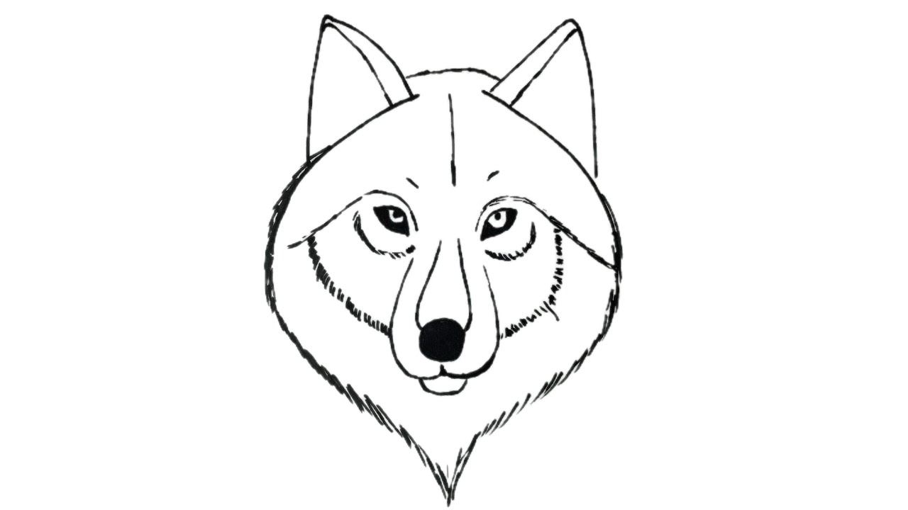 How to draw a Wolf 39 s Head easy - Maxresdefault