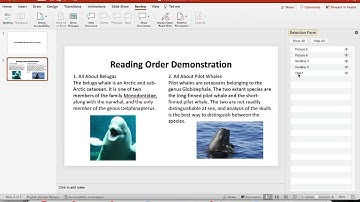 How to check Reading Order on PowerPoint