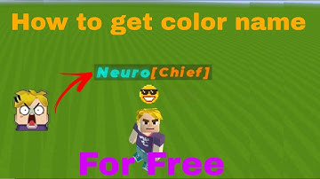 How to get color name for free in Blockman GO|Blockman GO|Neuro BG