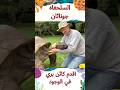 اقدم كائن بري في الوجود عمره ١٩٢ سنه