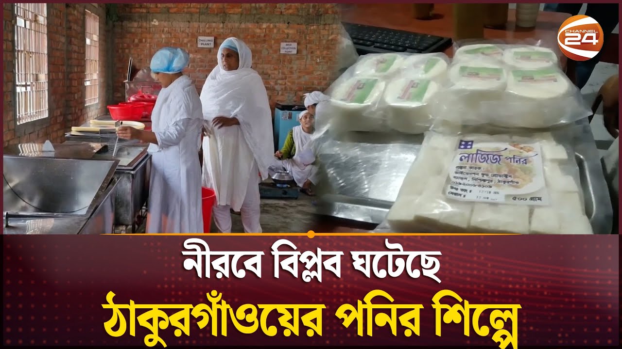 প্রতিদিন সাড়ে ৩ কোটি টাকার পনিরের ব্যবসা ঠাকুরগাঁওয়ে | Thakurgaon | Cheese Industry | Channel 24