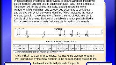 animation that explains more about how a profile is derived from an electropherogram