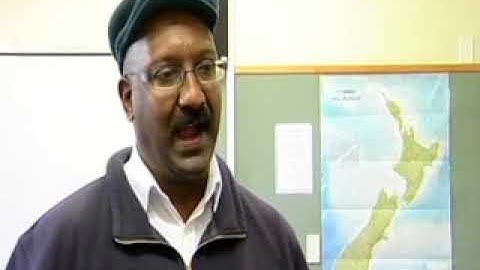 Majority of immigrants feel a strong sense of belonging