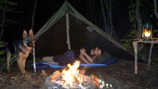 Bushcraft Trip  Solo Camping with my Dog in the Forest  Table Making and Delicious Foods