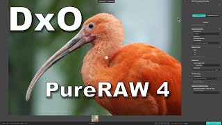 FIRST LOOK: PureRAW 4 - Is it BETTER Than PureRAW 3?