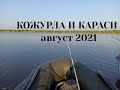 Кожурла и караси. Август 2021