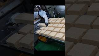직접 재배한 국산콩으로 만든 메주 대량생산 #Shorts