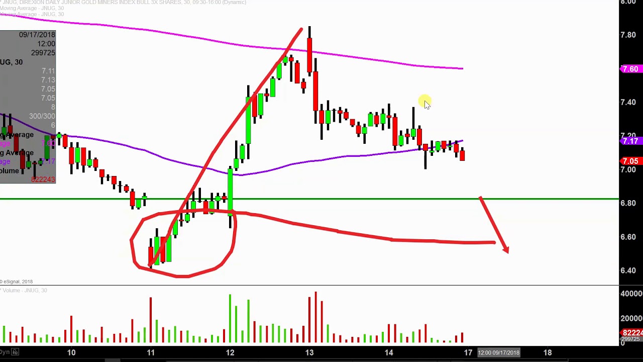 Jnug Stock Chart