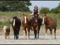 Emma massingale synchronicity horses
