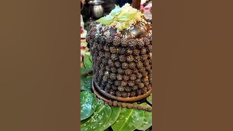Rudraksha Abhishek #shiv #mahadev #mahakal #bholenath #bhole #shiva #shivling #status #short #shorts