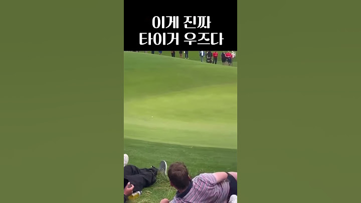 타이거가 진짜 전설의 레전드인 이유...