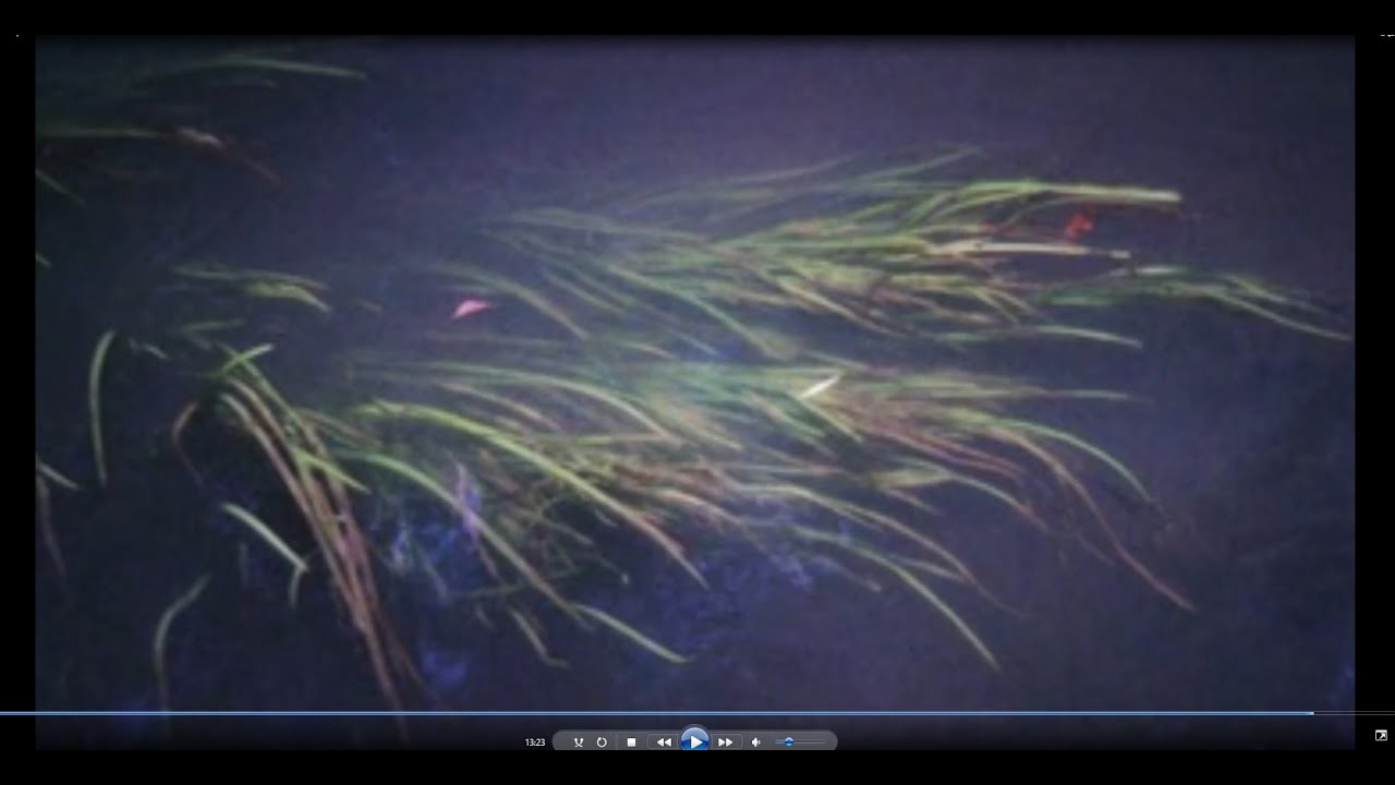 Солярис. Философский разбор (часть 3) - YouTube