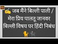 जब मैंने बिल्ली पाली विषय पर निबंध | मेरा प्रिय पालतू जानवर हिंदी निबंध बिल्ली