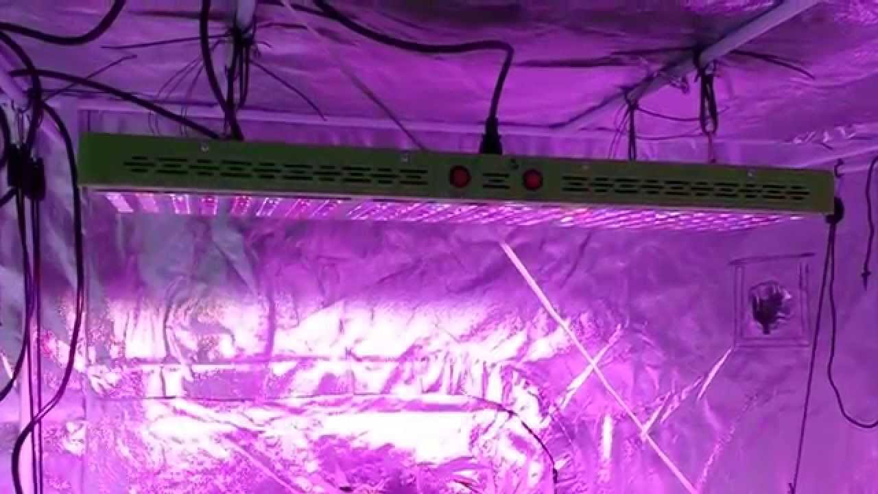 Top LED Grow Lights 144x3 YouTube
