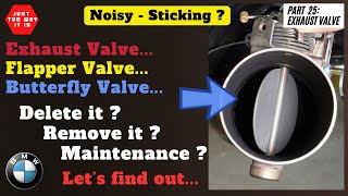 EP 25: Butterfly Valve - Exhaust Valve - Exhaust Flapper - Sticking or Seized Valve - BMW R1250GS/A