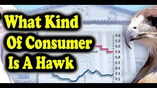What Kind Of Consumer Is A Hawk