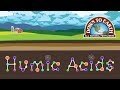 What Are Humic Acids?