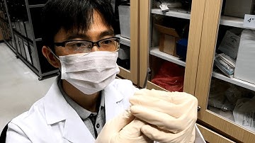 Interface Engineering and Emergent Phenomena in Oxide Heterostructures