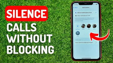 How to Silence Calls on iPhone Without Blocking - Full Guide