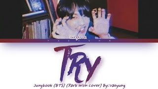 Jungkook (BTS) - "Try" (Park Won Cover) [Color Coded Lyrics Han/Rom/Eng/가사| by Vaeyung]