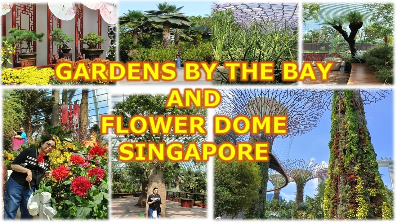 Gardens By The Bay South Full View | Beautiful Views Of Rarest Plants and Flowers 