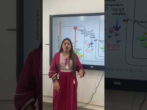 Photosystem 1 and