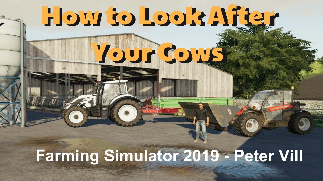 How To Look After Your Cows Petervill Farming Simulator 19 Tutorial Youtube