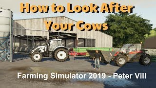 How to Look After Your Cows - Petervill - Farming Simulator 19 Tutorial