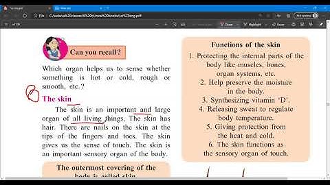 Our Skeletal System and the Skin #part 3 #std 6 #science #chapter 8  #video-lecture