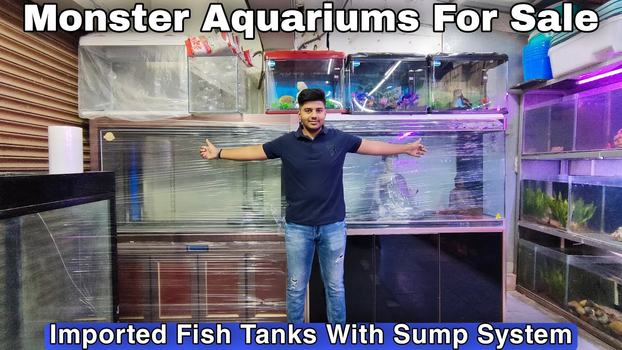 Monster Aquariums For Sale At Badal Pet Shop  Imported Fish Tanks With  Sump System For Sale Delhi 