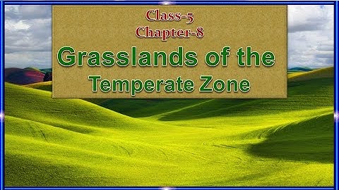 Grasslands of the Temperate Zone || Social science || Class-5 || Chapter-8 || Part-1
