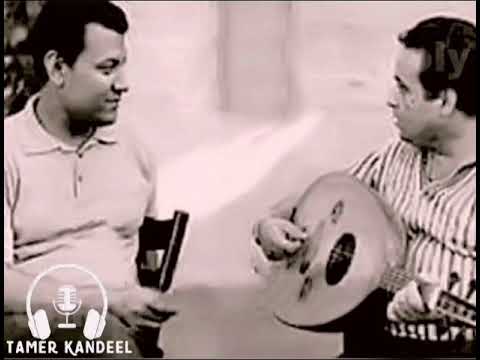 عالرملة محمد رشدي