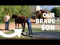 BLAKE DOES TRICKS OFF HORSE - HORSING AROUND ON THE FARM!