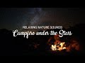 Relaxing Campfire Under The Stars | Relaxing Nature Sounds