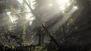 A Realistic Forest in Halo Infinite Forge!