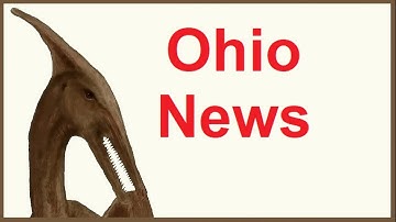 A Pterodactyl Jarred us at 2 a.m. in Oct 2025