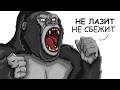 Ты – Горилла (И ЭТО ВСЯ ТВОЯ ЖИЗНЬ)