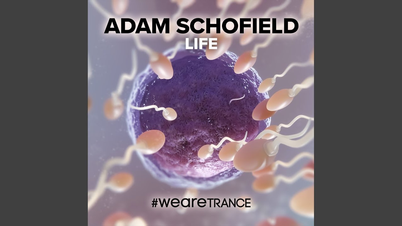 Watch Life (Extended Mix) on YouTube Watch Life (Extended Mix) on YouTube