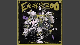 Video thumbnail of "Escape from the ZOO - Countin' Cards"