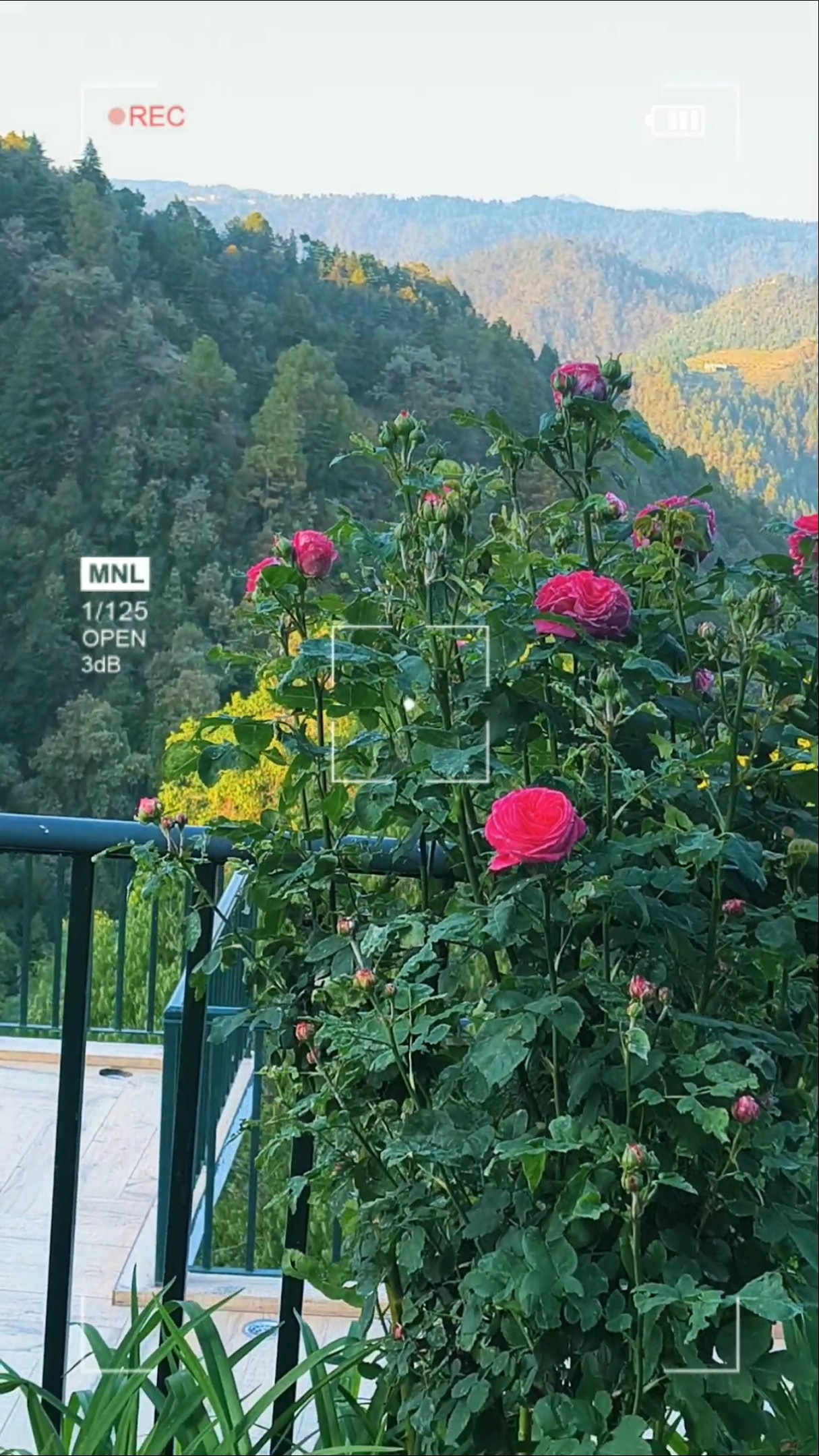 💓 मोहब्बत दिल से - ShareChat