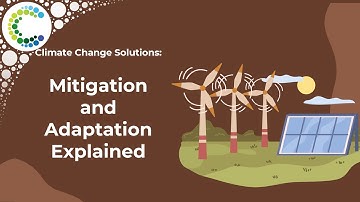 Climate Change Solutions: Mitigation and Adaptation Explained
