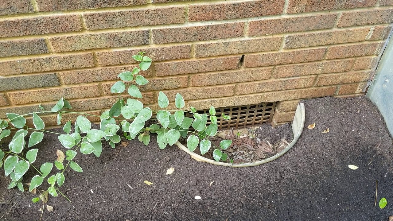 Part Two of my tour of 3313 Martindale Dr, Johnson City, TN YouTube