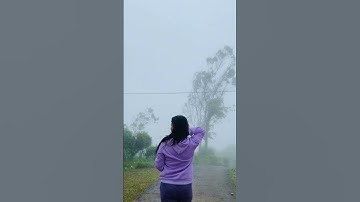 Thumbnail of In this morning 🥀🎀 #song #foryou #trending #nature #travel #shorts #shortsvideo #reels #fyp