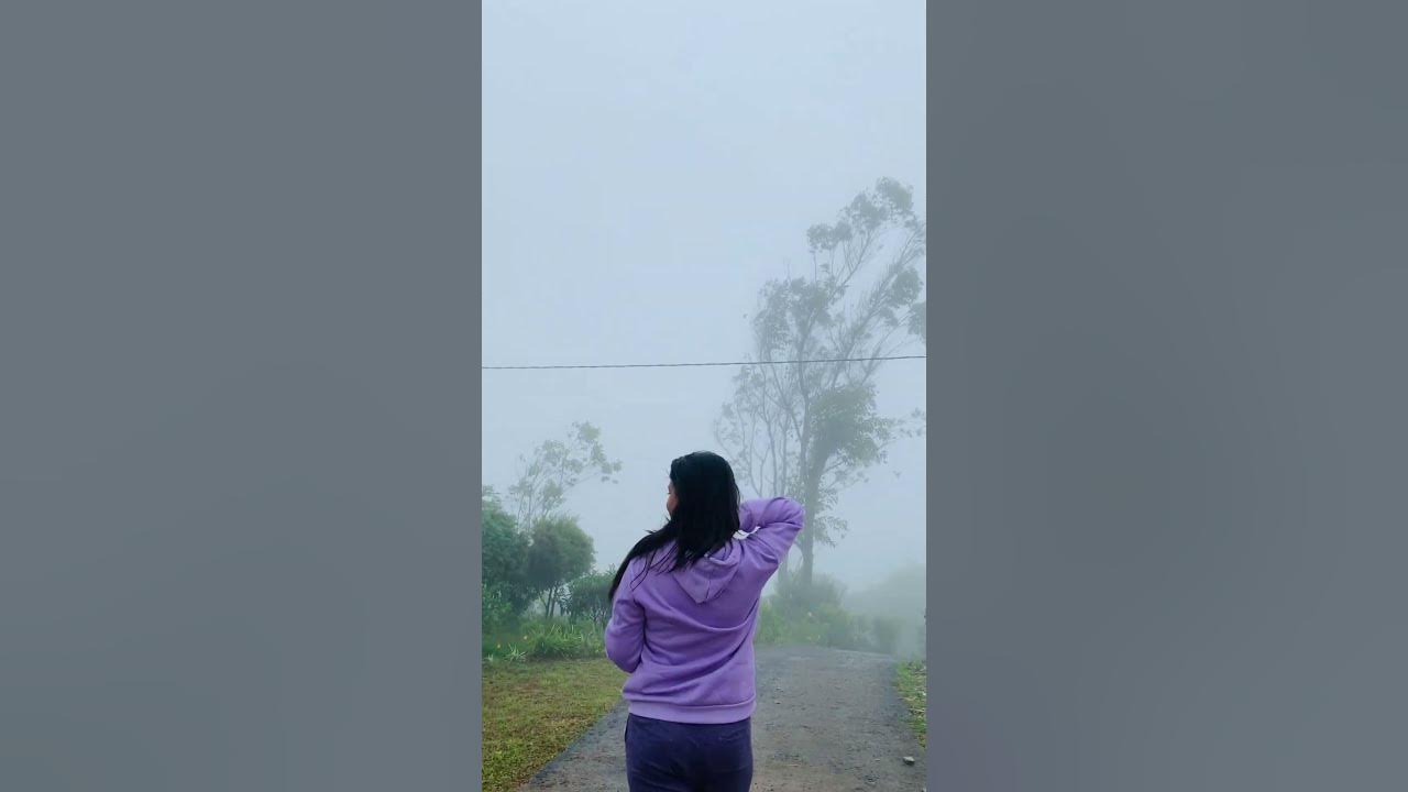 In this morning 🥀🎀 #song #foryou #trending #nature #travel #shorts #shortsvideo #reels #fyp