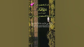 #القران_الكريم #اكسبلور #duet #لايك سورة قران كريم سوره تلاوة تلاوه خاشعة راحه نفسيه استمع