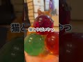 猫と水晶玉一発芸です　#猫かわいい #ねこ