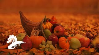 Thanksgiving Dinner (feat. Craig Duncan) [Thanksgiving Visualizer]