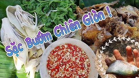 Cơm Quê Miền Tây | Vác Lưới Bén Ra Vườn Lại Có Mồi Bén Đem Về | Cậu An Miền Tây - 031